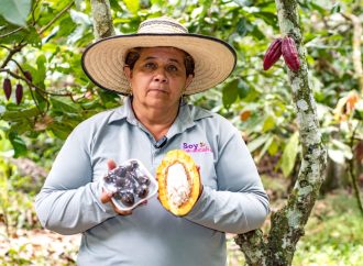 Cacao huilense un estilo de vida y oportunidad de negocio