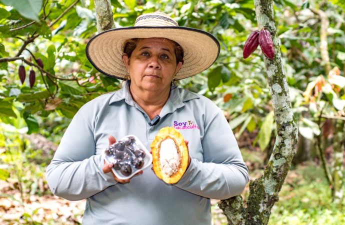 Cacao huilense un estilo de vida y oportunidad de negocio