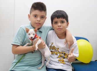 Concejo de Neiva aprueba la Política Pública de Bienestar y Protección Animal