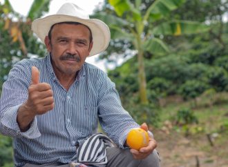 Productores del Huila deben apuntarle a los más de $135.000 millones del mercado de compras pública locales