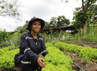 El SENA Huila abrió nueva convocatoria de formación. Hay 800 cupos disponibles