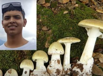 Joven murió por comer hongos