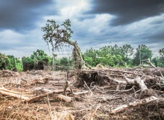 ¿Cómo nos afecta el cambio climático?