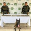 Policía Nacional, logró ubicar sustancia ilícita en zona boscosa del sur de Neiva