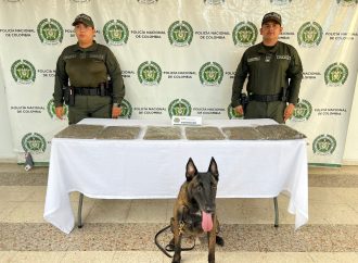 Policía Nacional, logró ubicar sustancia ilícita en zona boscosa del sur de Neiva