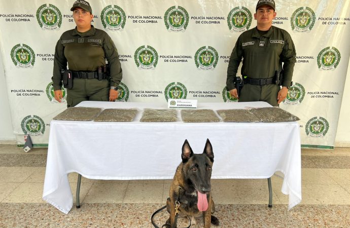 Policía Nacional, logró ubicar sustancia ilícita en zona boscosa del sur de Neiva