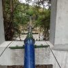 Más de 6.000 habitantes de Tesalia aseguran el suministro de agua con inversión superior a $6.000 millones gracias a la Gobernación del Huila